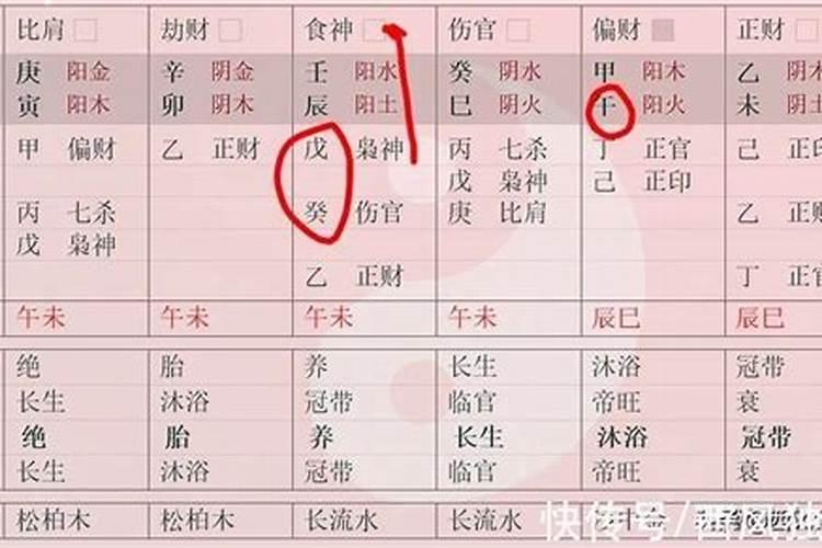 八字伤官合官是什么意思