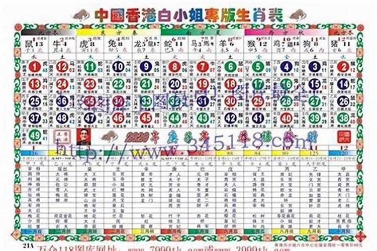 猪跟马合不合适