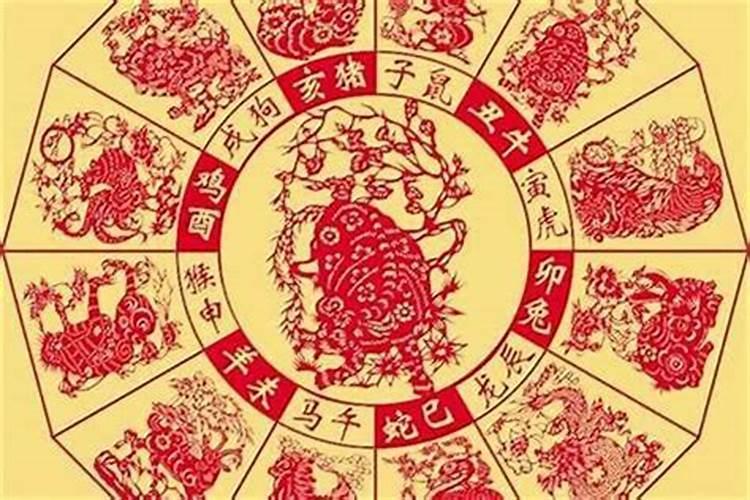 今年48岁是本命年吗