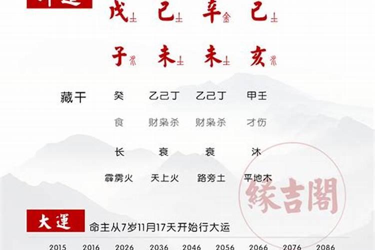 多种格局的八字