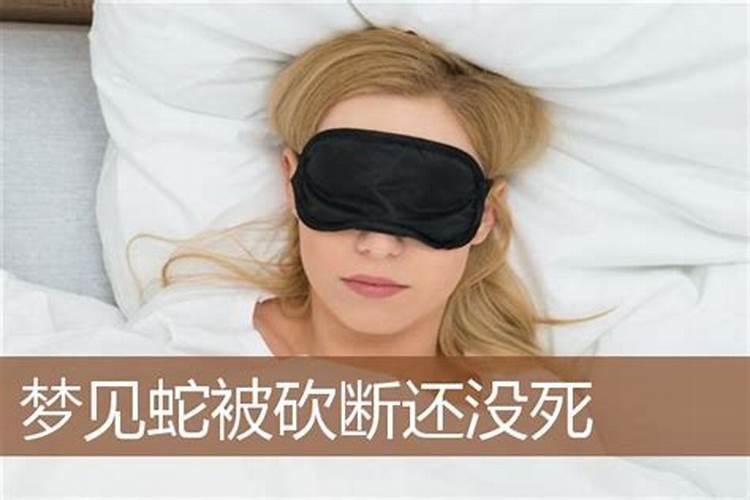 梦到蛇砍断了是什么意思啊女生