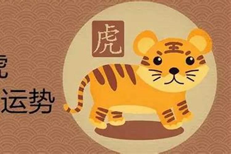 2024猪犯太岁怎么解