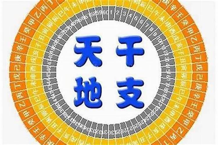 八字的力量大小关系