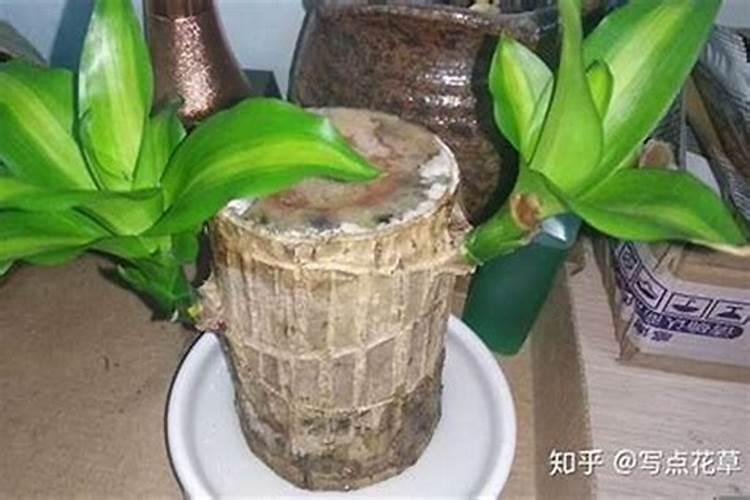 江苏最具人气风水大师是谁