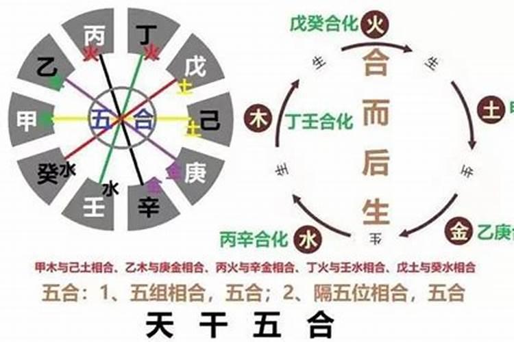 怎么看年柱合不合