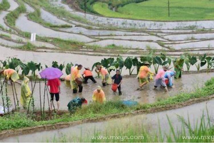 梦见红色的红中是什么意思