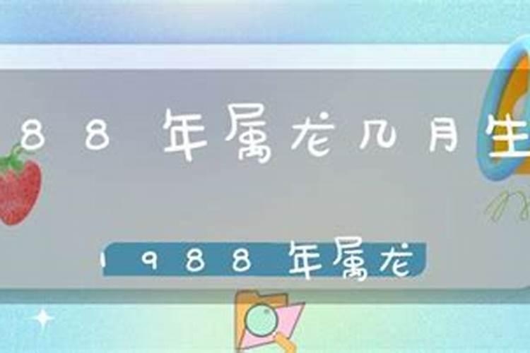 1988属龙农历9月出生好吗