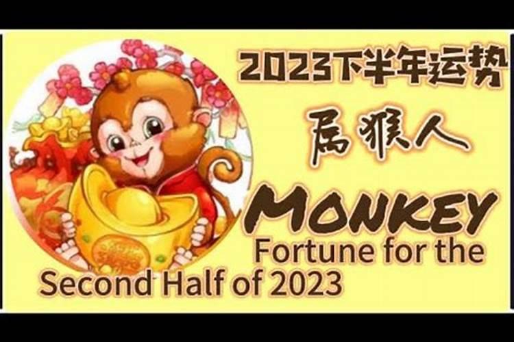 2022属猪全年运势女