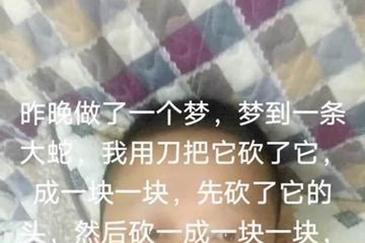 梦到蛇被砍断了还在爬