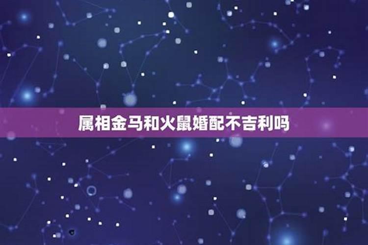 属虎的2021年做生意运气怎么样呀