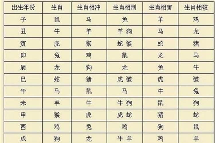 属兔的孩子和属什么的父母好