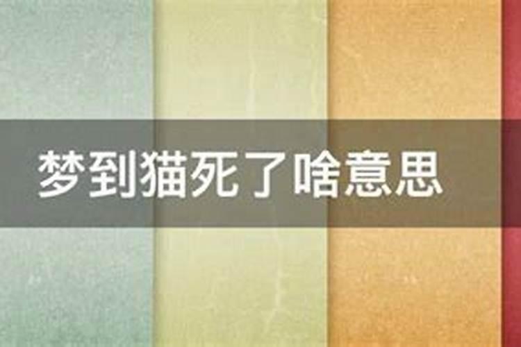 1969年属鸡人今年运势怎么样