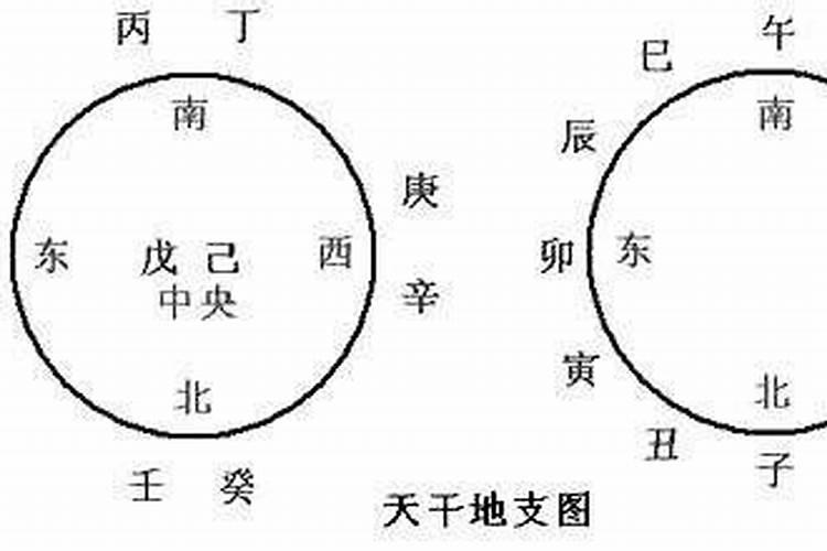 八字地支能代替天干吗