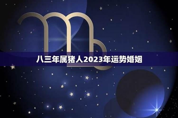 八三年2023年运程