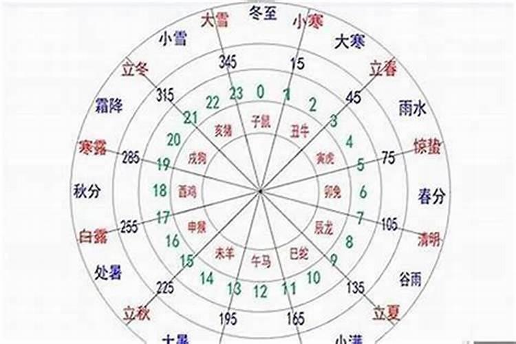 怎么判断自己八字日柱