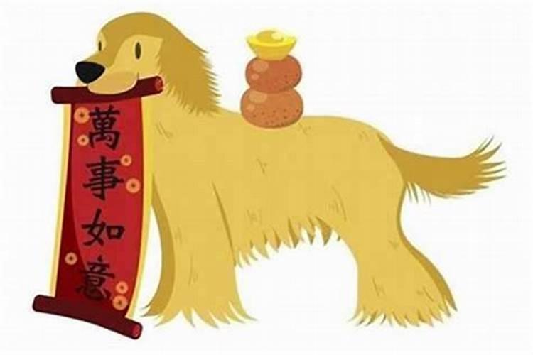 今年属狗犯太岁2021年属什么命