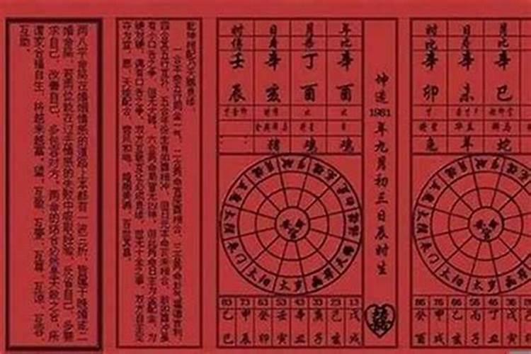 87年属兔和82年属狗合不合财运