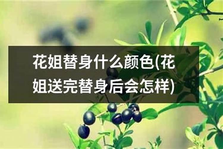 清明节去哪缅怀父亲呢