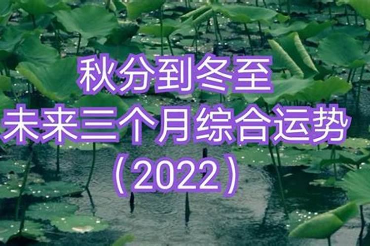 2024属猪后半年运势