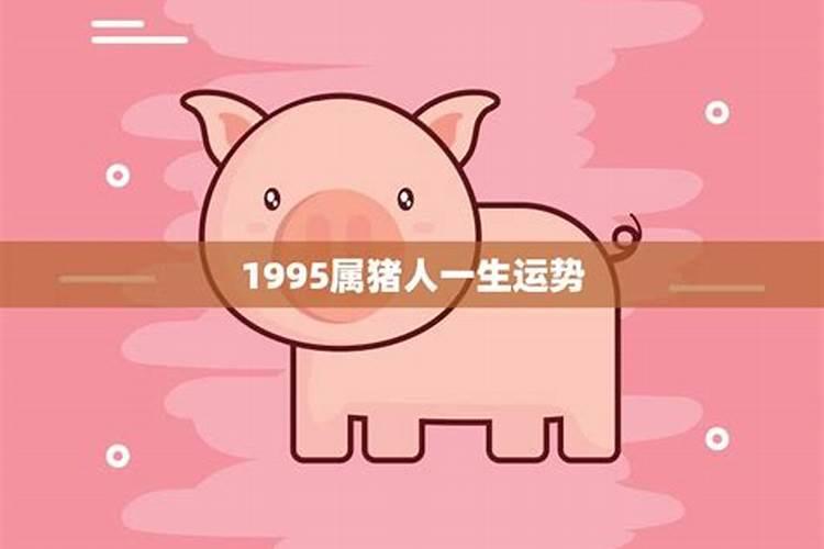 2024年下半年生肖运势大全