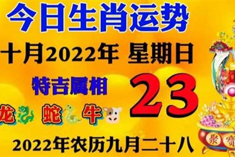 2023年9月23日什么生肖运程