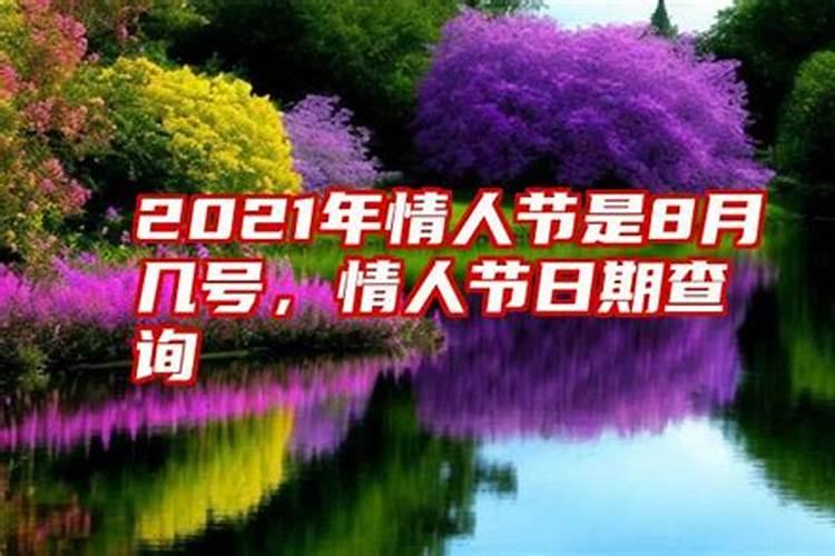 情人节看你今年的感情运势