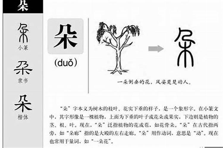 家这个字五行属什么