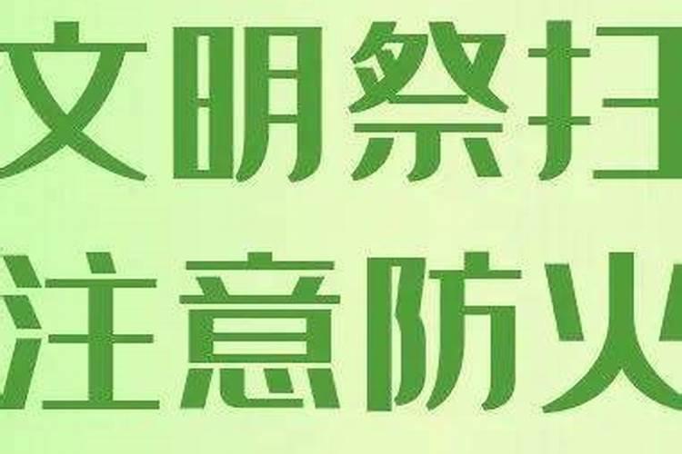 鸡今年的运势如何2024感情如何