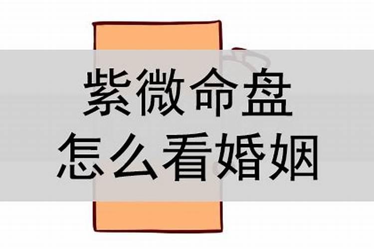 梦见老公骑车带自己掉水里了