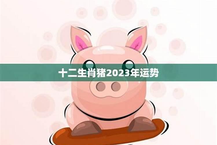 属猪人2023年的运势和财运