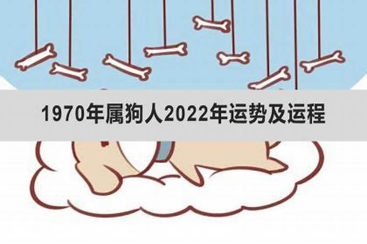 属狗人2022年全年运势运程