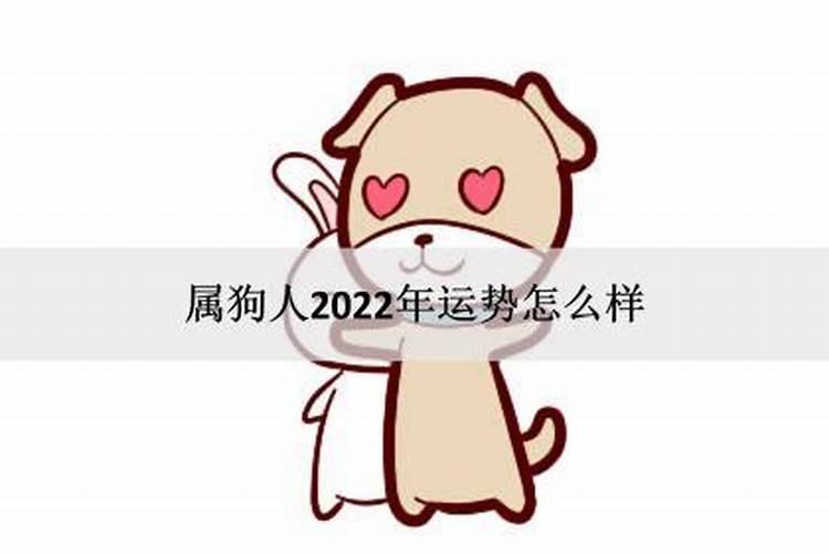 属狗人2022年的运程