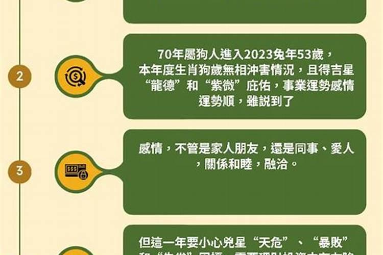 猪年2023下半年运势