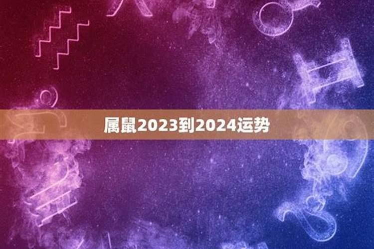 80年属鼠人在2021年的全年运势