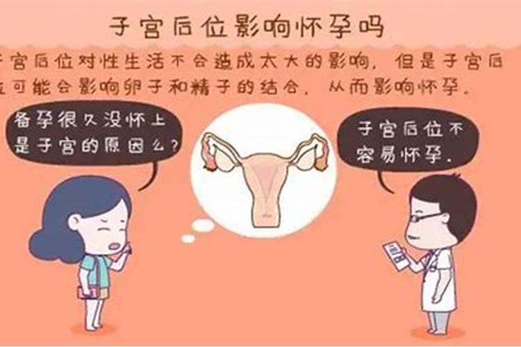 属虎男和属龙女生什么宝宝好