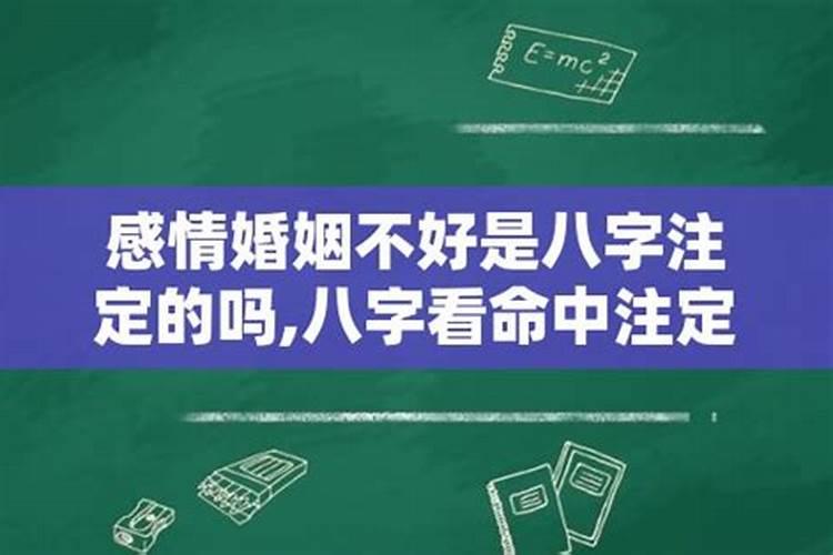 1992年正月十四2023年运势