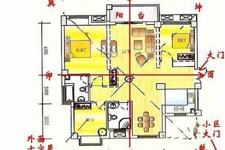 猪年里蛇犯太岁应该怎么办呢