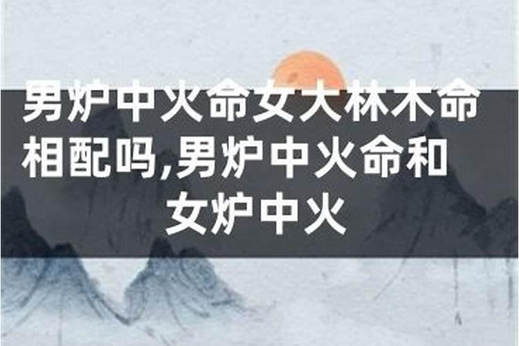 大海水命与大林木命合婚吗