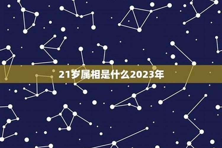 21岁属什么生肖的哪年出生