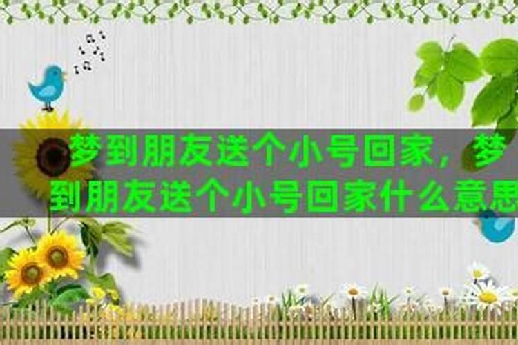 梦见上大号好不好