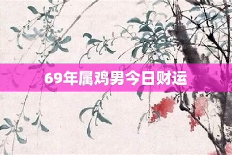 69年属鸡人在2024年的全年运势