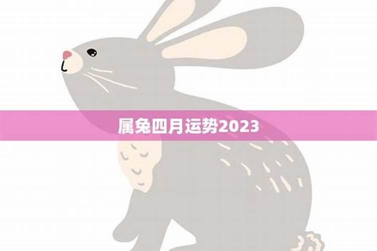 属兔4月份运势运势如何