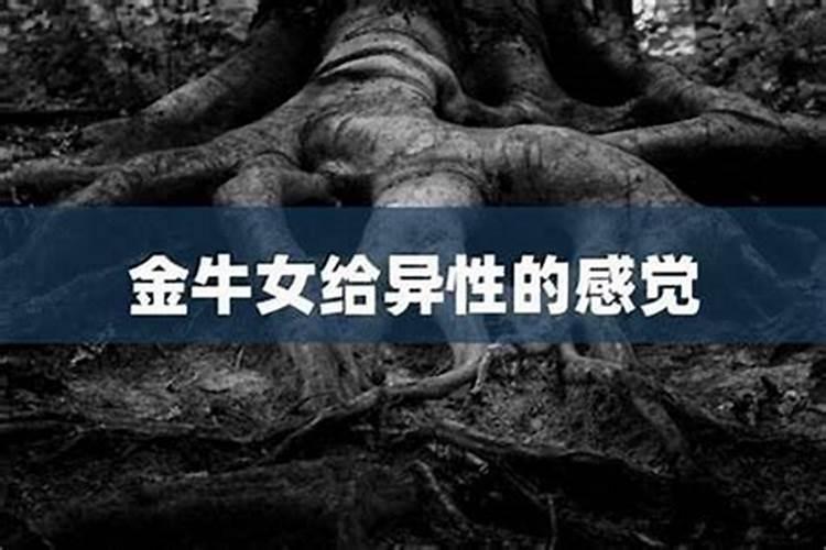 金牛女喜欢一个人的表现准到爆