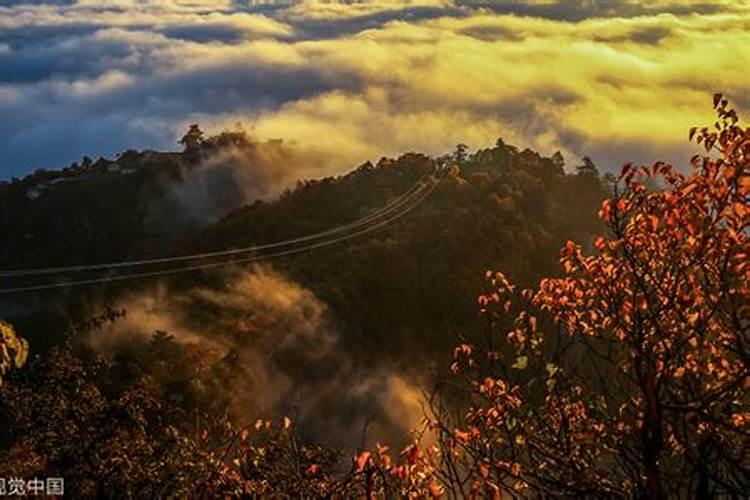 重阳节登什么山好