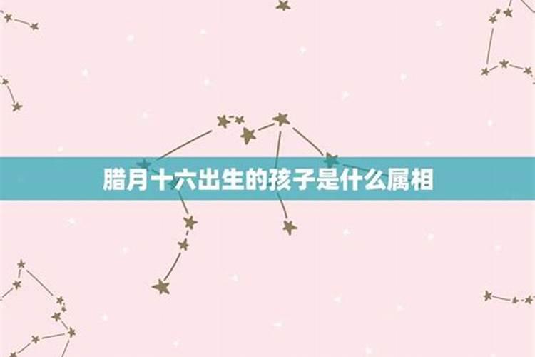 在腊月出生的是什么星座