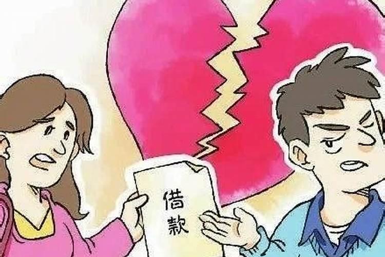 婚姻存续期间双方借贷投资属于共同财产