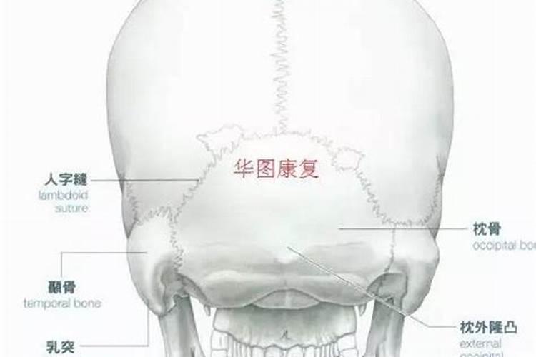 女人梦见自己的亲哥和侄子