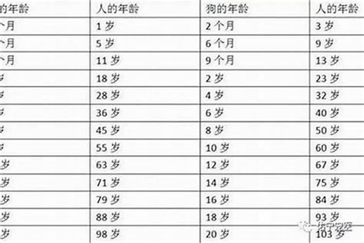 本命年是多少岁生日