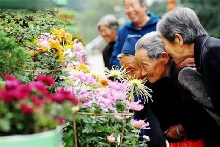 北京重阳节去哪里玩好呢