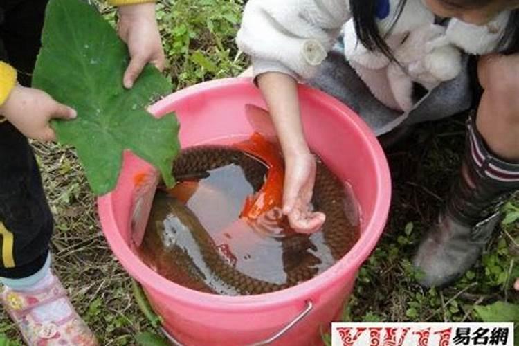 饭店厨房在一楼好还是二楼好